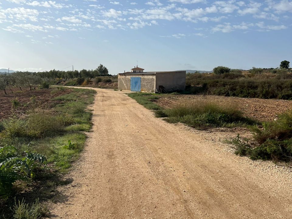 Helårsgrund i Pinoso, Alicante - foto 2